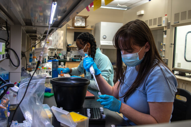 UNLV Wastewater Collection Report Sees Fall in Omicron, Rise in BA.2 Subvariant