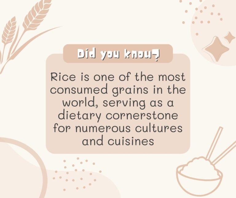 Rice: How is it cooked all around the world?
